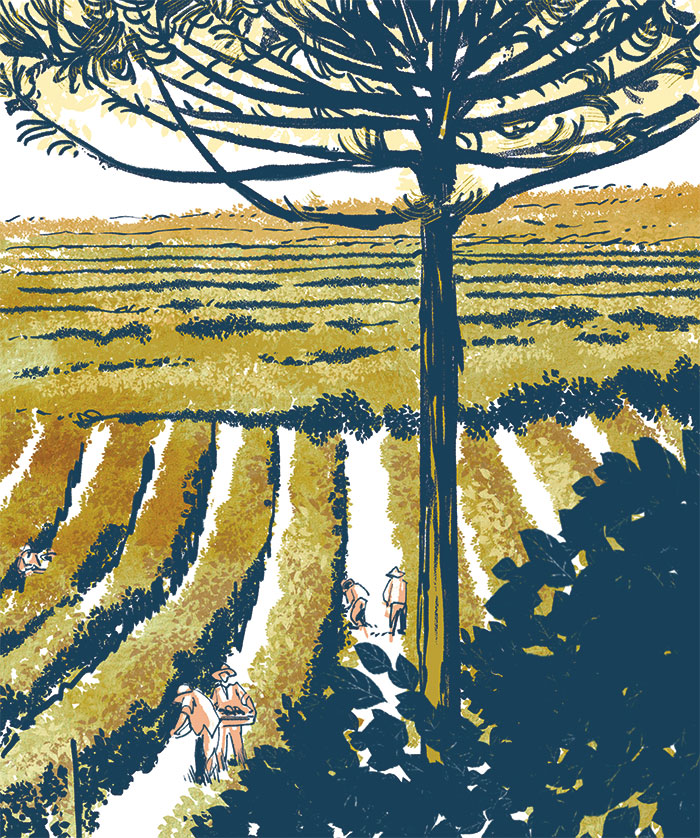 Miolo_BentoGoncalves_LY_texto-revisado-2-8