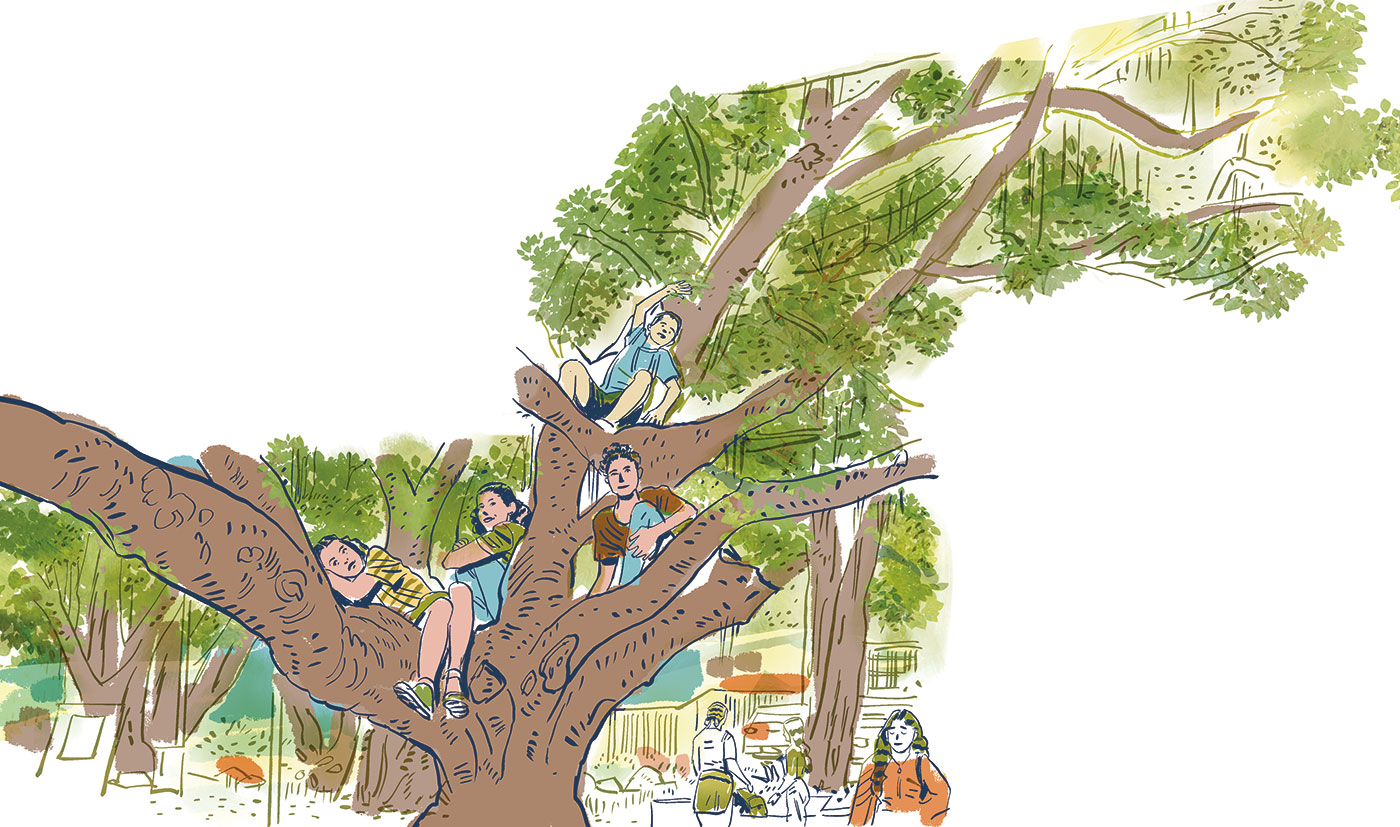 Miolo_Camboriu_LY-31