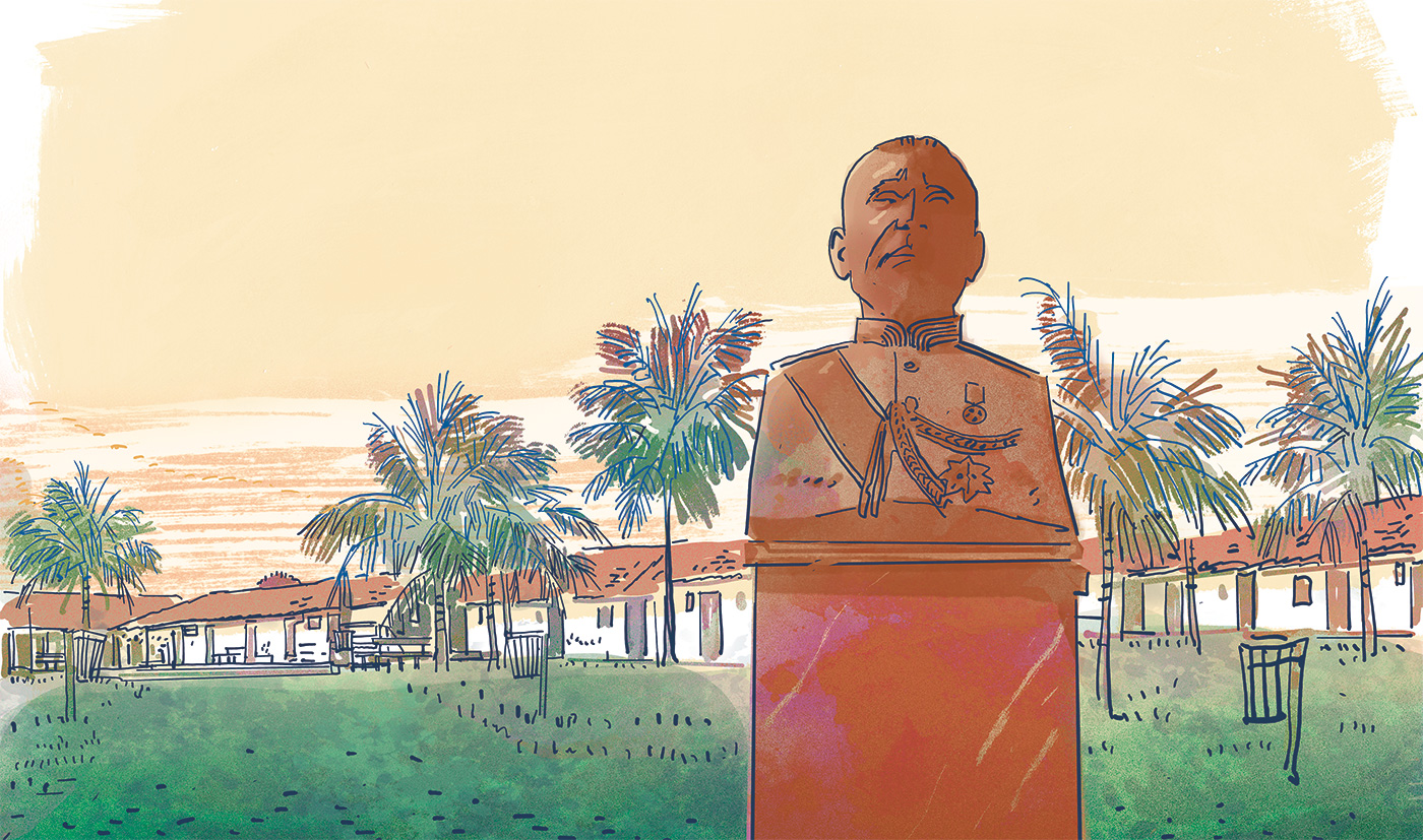 Miolo_Rondonopolis_LY-12